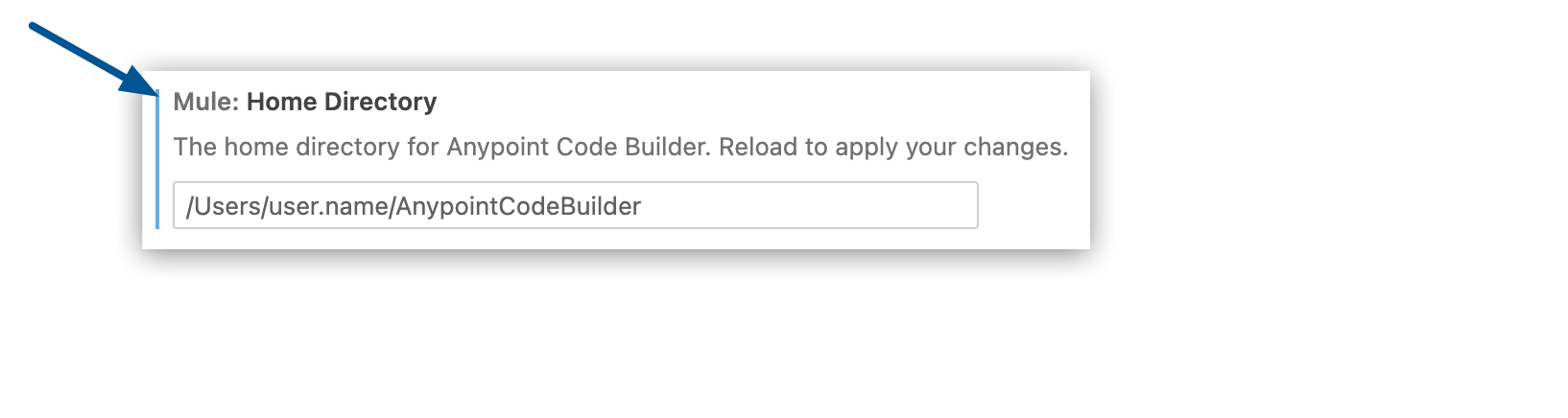 Settings dialog showing Mule Home configuration field with default path
