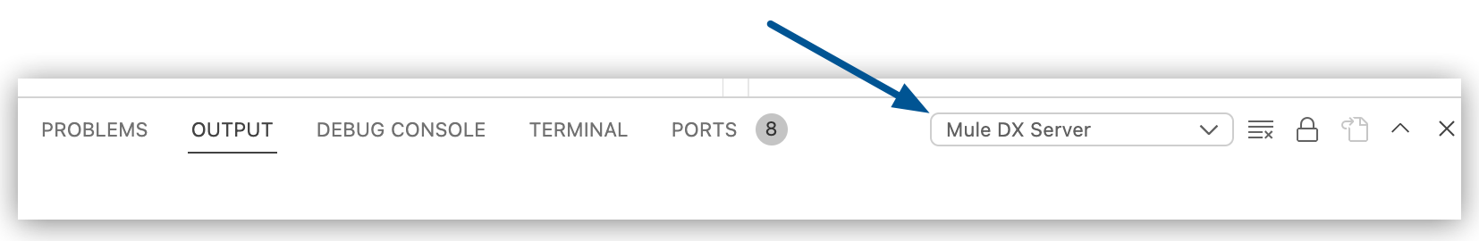 A menu bar with the Mule DX Server tab open