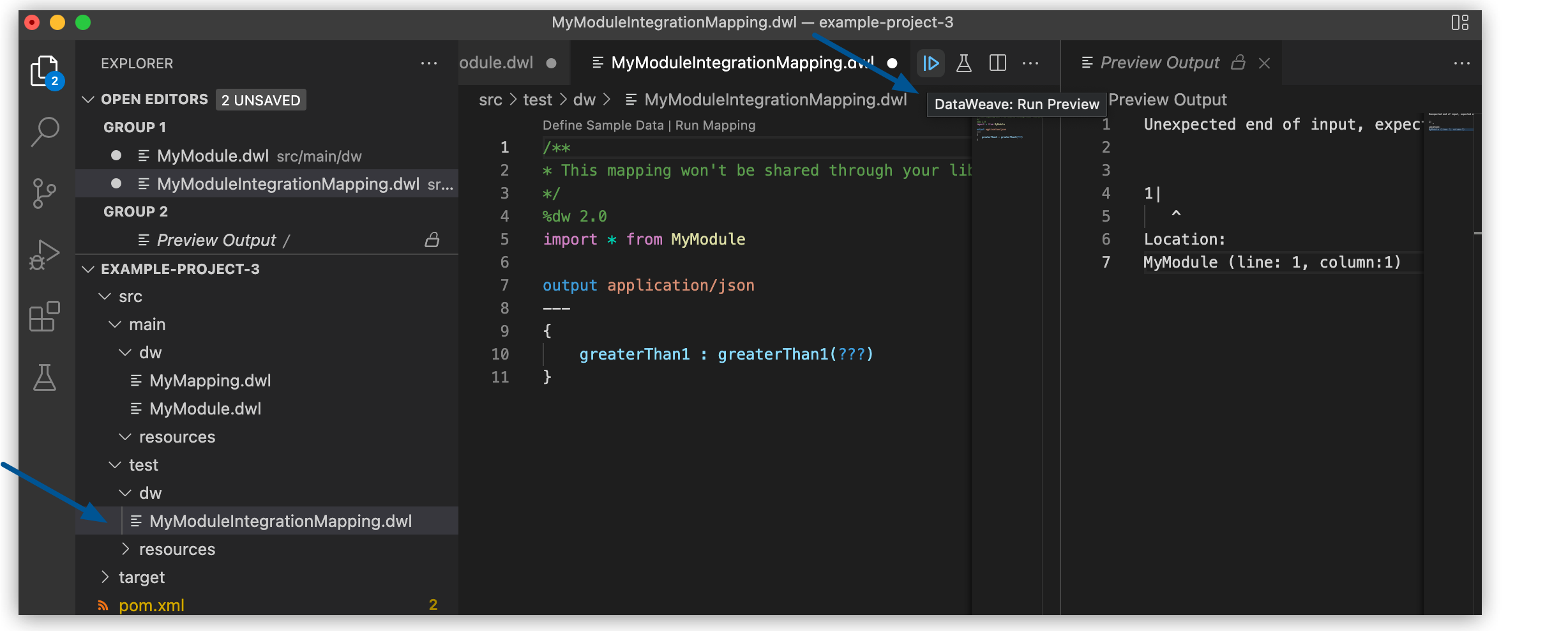 DataWeave: Run Preview button