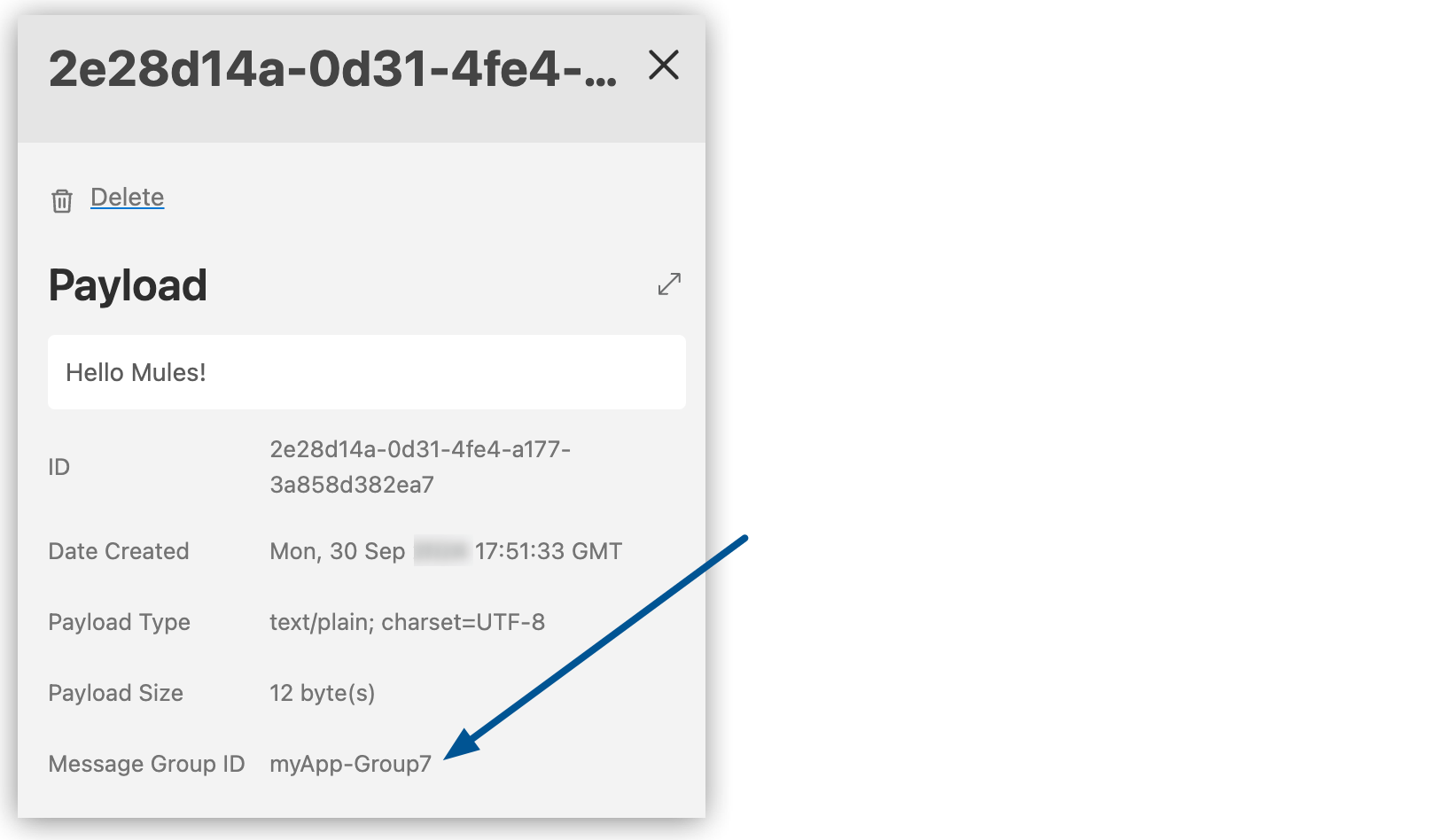 Message Browser details pane showing the Message Group ID value