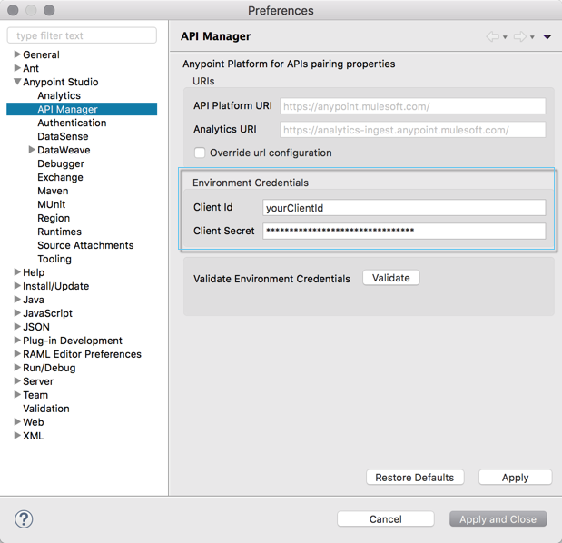 A form that enables the input of API platform and analytics URIs