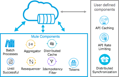 A diagram illustrating how Mule and user-defined components connect to a central data store