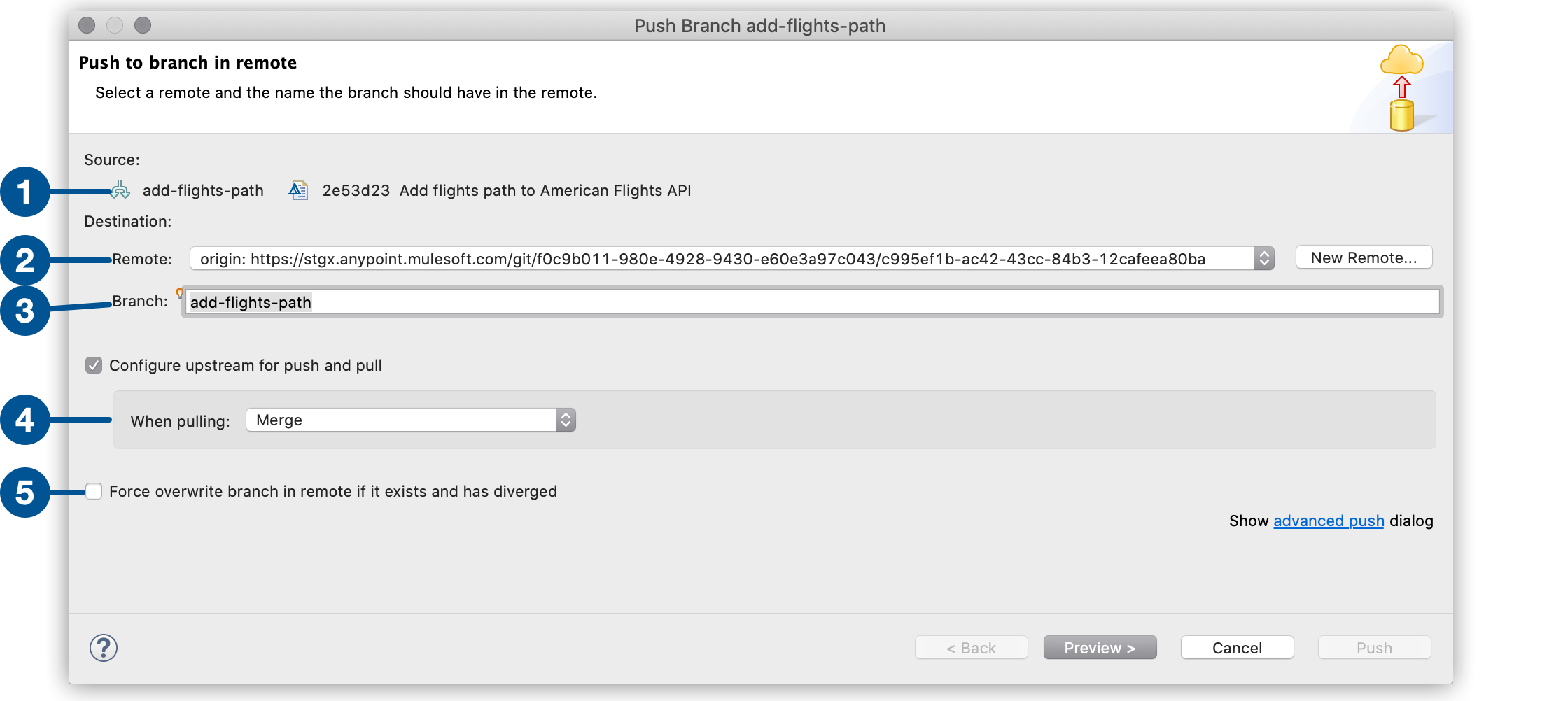 *Push Branch* window options highlighted.
